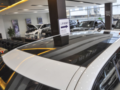 2022款 P300e 性能科技版
免税
