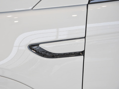 2022款 P300e 性能科技版
免税
