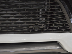 2022款 P300e 性能科技版
免税
