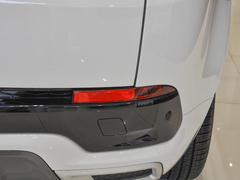 2022款 P300e 性能科技版
免税

