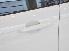 2022款 P300e 性能科技版
免税
