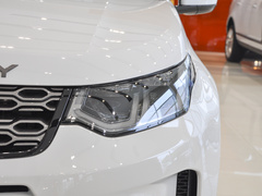 2022款 P300e 性能科技版
免税
