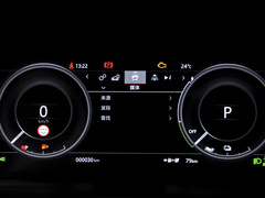 2022款 P300e 性能科技版
免税
