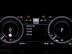 2022款 P300e 性能科技版
免税
