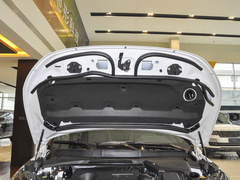 2022款 P300e 性能科技版
免税
