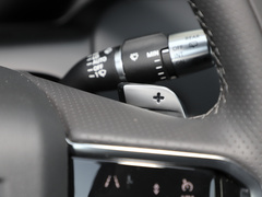 2022款 P300e 性能科技版
免税
