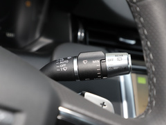 2022款 P300e 性能科技版
免税
