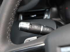2022款 P300e 性能科技版
免税
