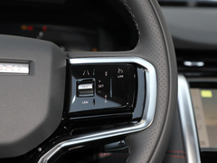 2022款 P300e 性能科技版
免税
