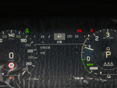 2022款 P300e 性能科技版
免税
