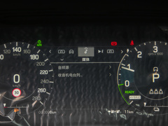 2022款 P300e 性能科技版
免税
