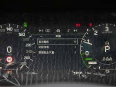 2022款 P300e 性能科技版
免税
