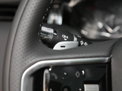 2022款 P300e 性能科技版
免税
