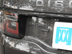 2022款 P300e 性能科技版
免税
