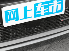 2022款 P300e 性能科技版
免税
