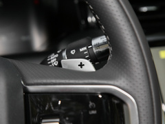 2022款 P300e 性能科技版
免税
