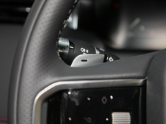 2022款 P300e 性能科技版
免税
