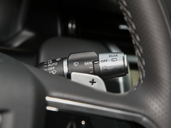 2022款 P300e 性能科技版
免税
