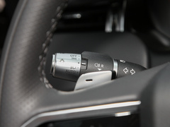 2022款 P300e 性能科技版
免税

