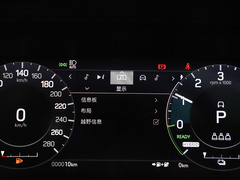 2022款 P300e 性能科技版
免税
