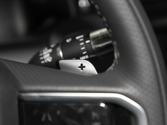 2022款 P300e 性能科技版
免税
