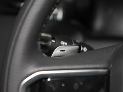 2022款 P300e 性能科技版
免税
