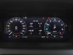 2022款 P300e 性能科技版
免税
