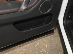 2022款 P300e 性能科技版
免税
