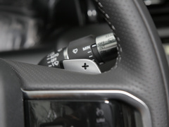 2022款 P300e 性能科技版
免税
