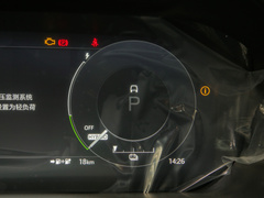 2022款 P300e 性能科技版
免税
