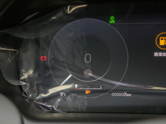2022款 P300e 性能科技版
免税
