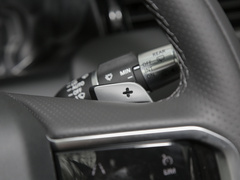 2022款 P300e 性能科技版
免税
