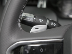 2022款 P300e 性能科技版
免税

