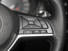 2022款 2.0L 两驱智联臻享版