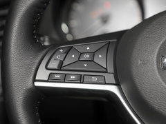 2022款 2.0L 两驱智联臻享版