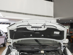 2022款 2.0L 兩驅(qū)智聯(lián)臻享版