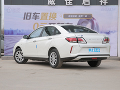 2022款  标准续航智享版