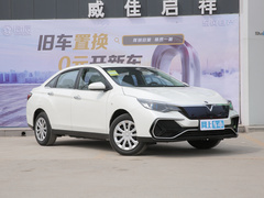 2022款  标准续航智享版