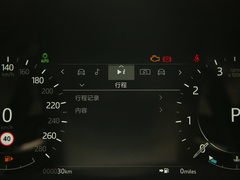 2022款 250PS 熠金珍藏版
