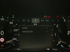 2022款 250PS 熠金珍藏版