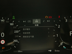 2022款 250PS 熠金珍藏版