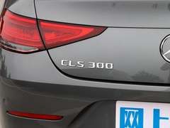 2022款 CLS 300 动感型