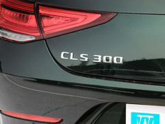 2022款 CLS 300 动感型