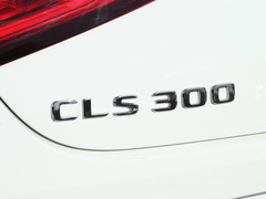 2022款 CLS 300 动感型