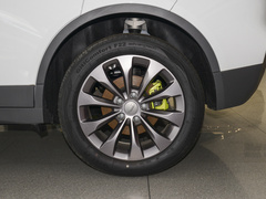 2022款 维果系列 葡萄C550 