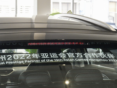 2022款 维果系列 葡萄C550 