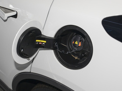 2022款 维果系列 葡萄C550 