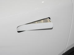 2022款 维果系列 葡萄C550 