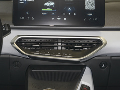 2022款 维果系列 葡萄C550 