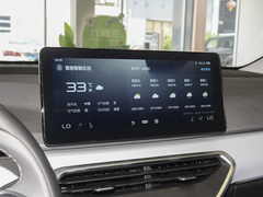 2022款 维果系列 葡萄C550 